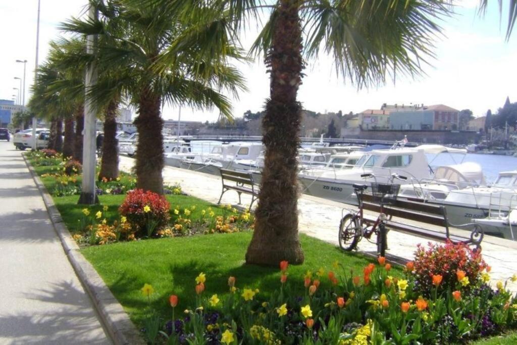 Hygge Zadar Apartment Экстерьер фото